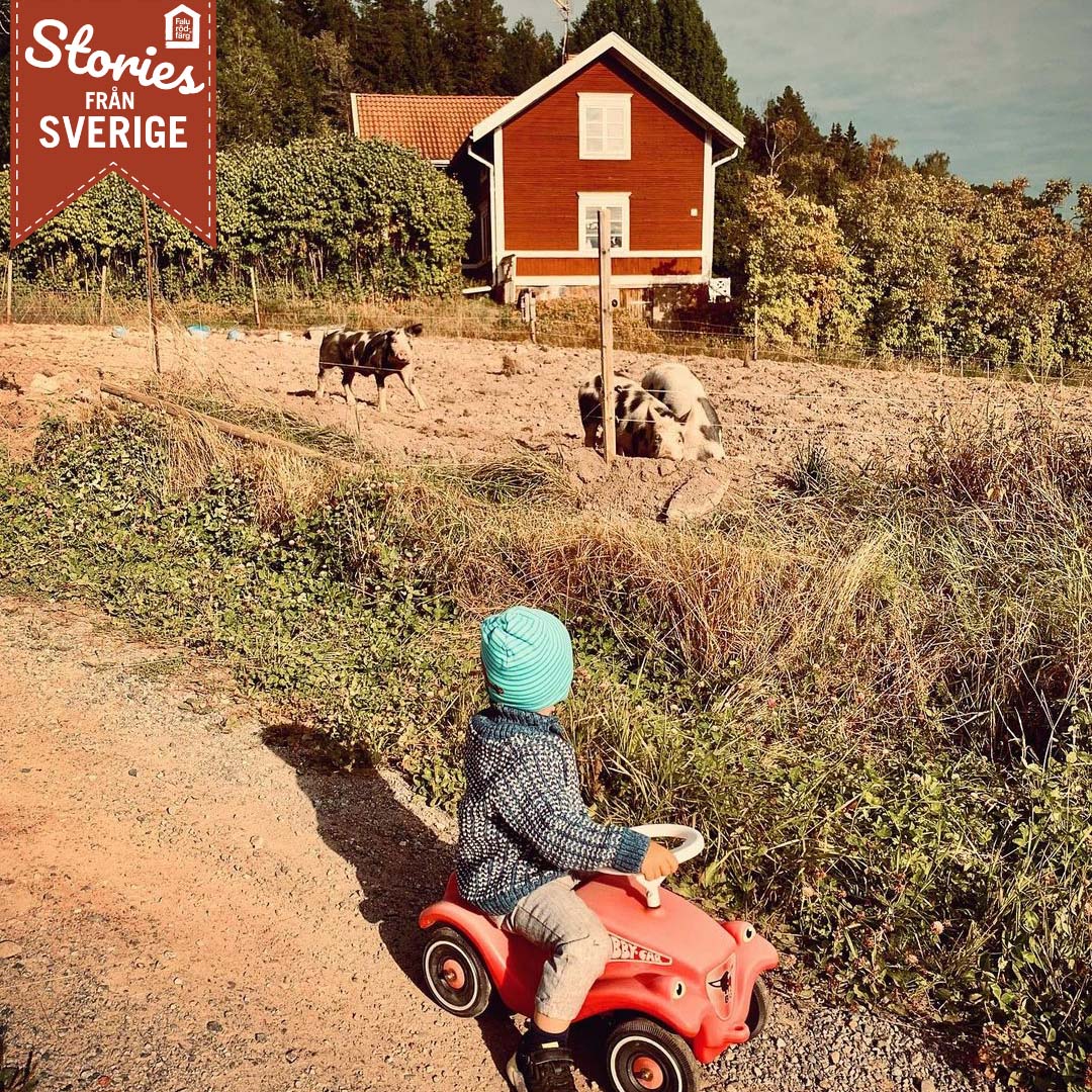 Stories från Isabel